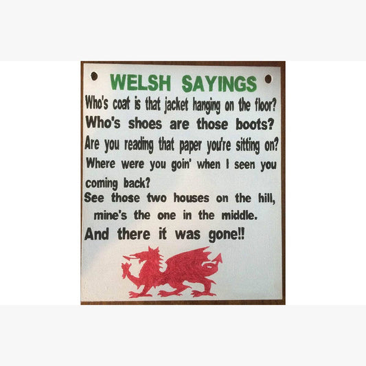 Funny Welsh sayings sign